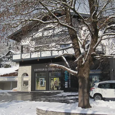 أبارتمنت هاوس وينتر رادستادت