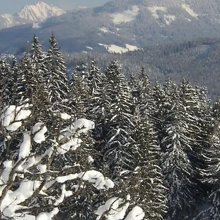 Appartementhaus Winter Lejlighed *