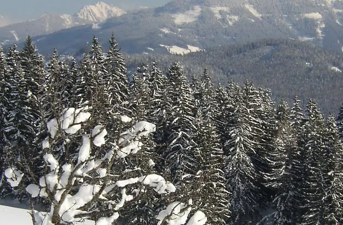 Appartementhaus Winter Apartment *